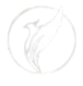 image removebg preview